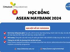 Giá Trị Học Bổng Asean 2024 New York University Of Florida Ranking