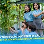 Giáo Dục Stem Ở Trường Tiểu Học