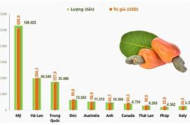 Thị Trường Xuất Khẩu Chuối Của Việt Nam